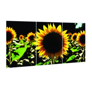 Trodelna slika - Sončnica (03)