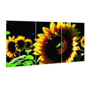Trodelna slika - Sončnica (04)